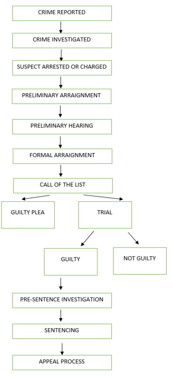 Criminal Process Flow Chart